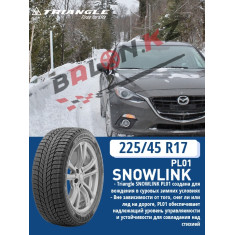 225/45/17 Triangle PL01 (94R)